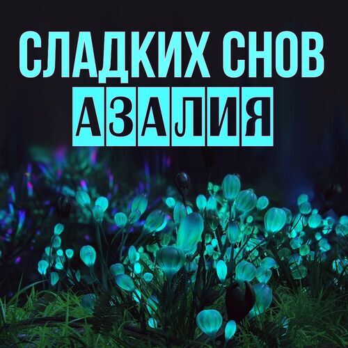 Открытка Азалия Сладких снов