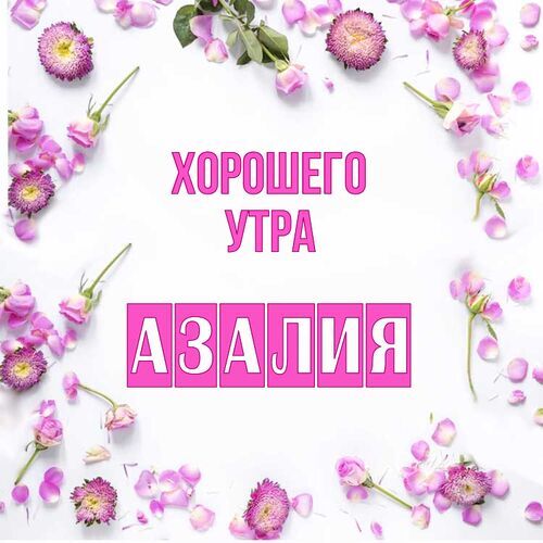 Открытка Азалия Хорошего утра