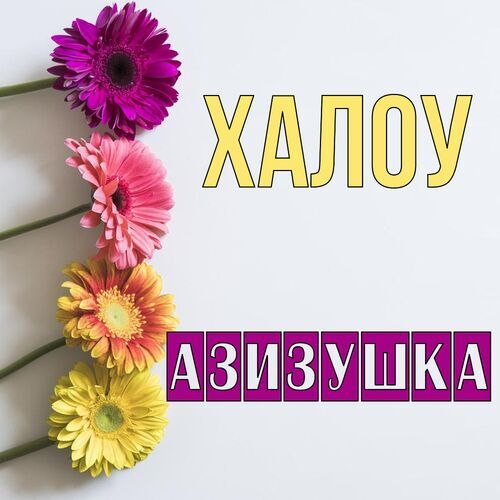 Открытка Азизушка Халоу