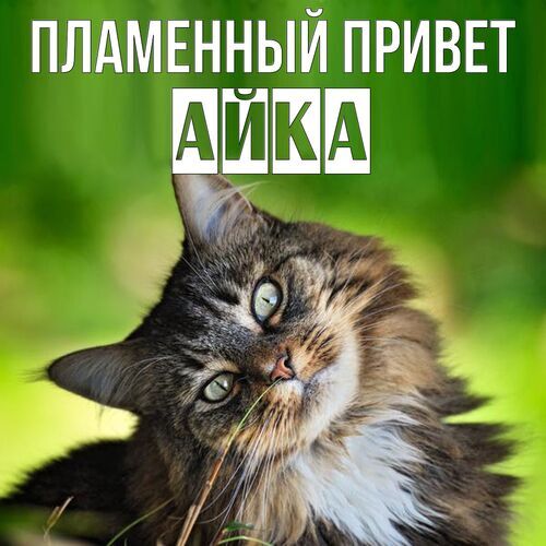 Открытка Айка Пламенный привет