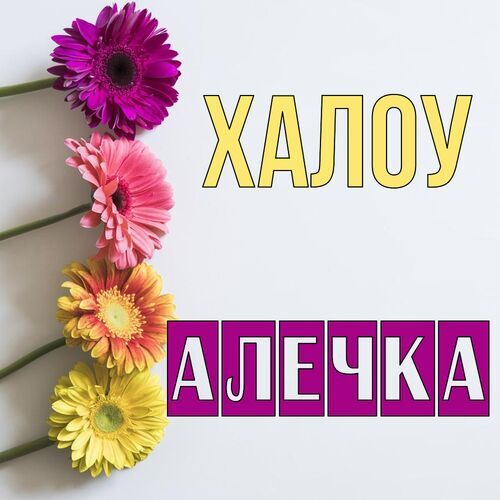 Открытка Алечка Халоу