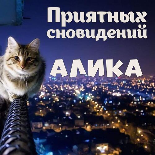 Открытка Алика Приятных сновидений