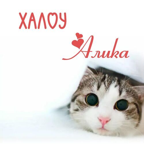 Открытка Алика Халоу