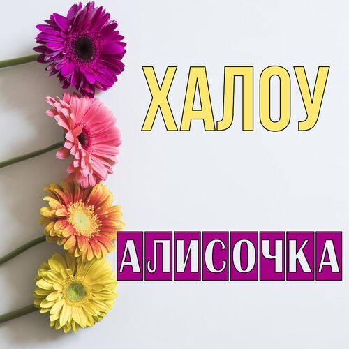 Открытка Алисочка Халоу