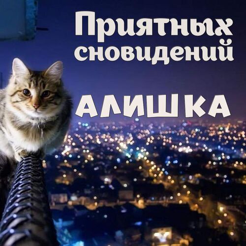 Открытка Алишка Приятных сновидений