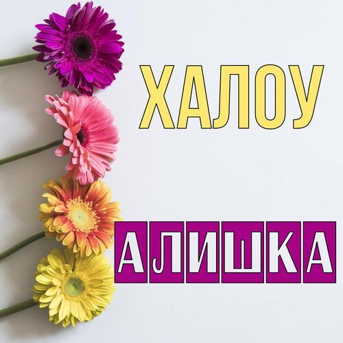 Открытка Алишка Халоу