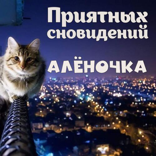 Открытка Алёночка Приятных сновидений