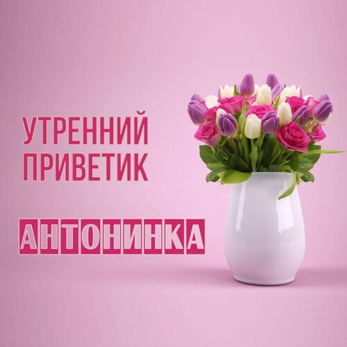 Открытка Антонинка Утренний приветик