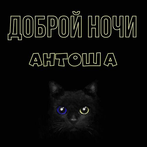 Открытка Антоша Доброй ночи