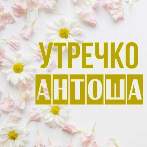 Открытка Антоша Утречко