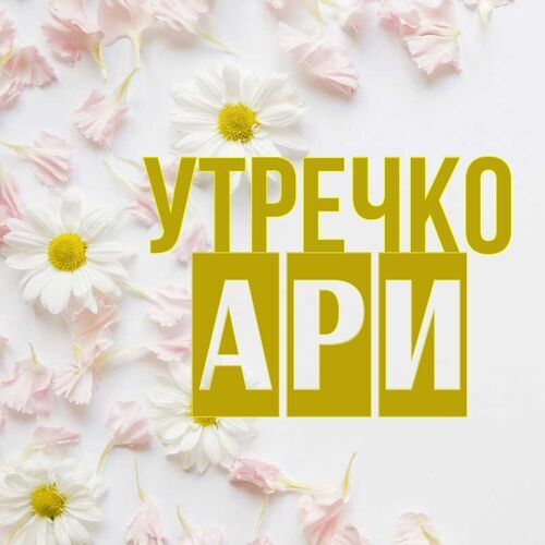 Открытка Ари Утречко