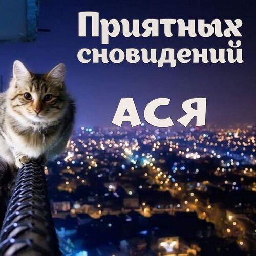 Открытка Ася Приятных сновидений