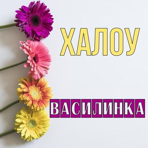 Открытка Василинка Халоу