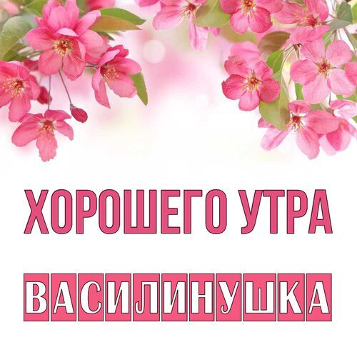 Открытка Василинушка Хорошего утра