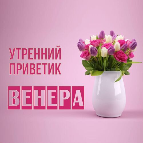 Открытка Венера Утренний приветик