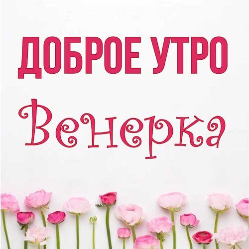 Открытка Венерка Доброе утро