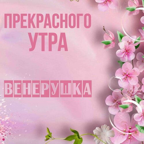 Открытка Венерушка Прекрасного утра