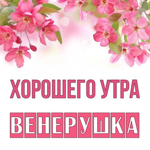 Открытка Венерушка Хорошего утра