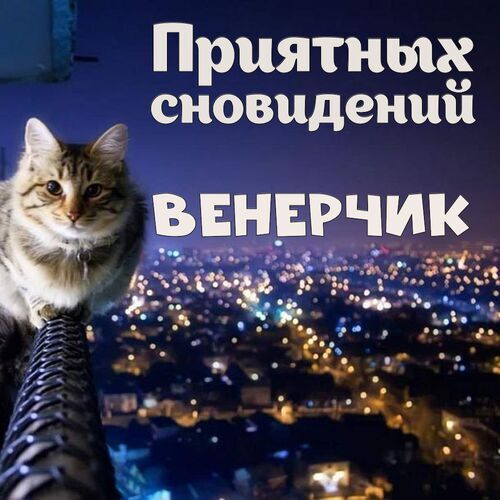 Открытка Венерчик Приятных сновидений