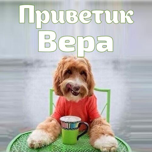 Открытка Вера Приветик