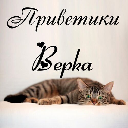 Открытка Верка Приветики