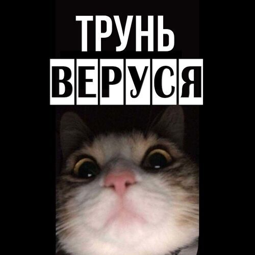 Открытка Веруся Трунь