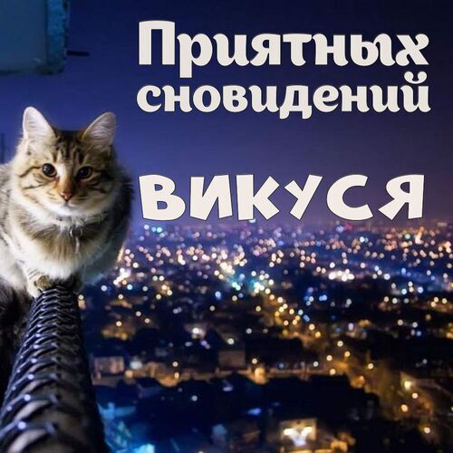 Открытка Викуся Приятных сновидений