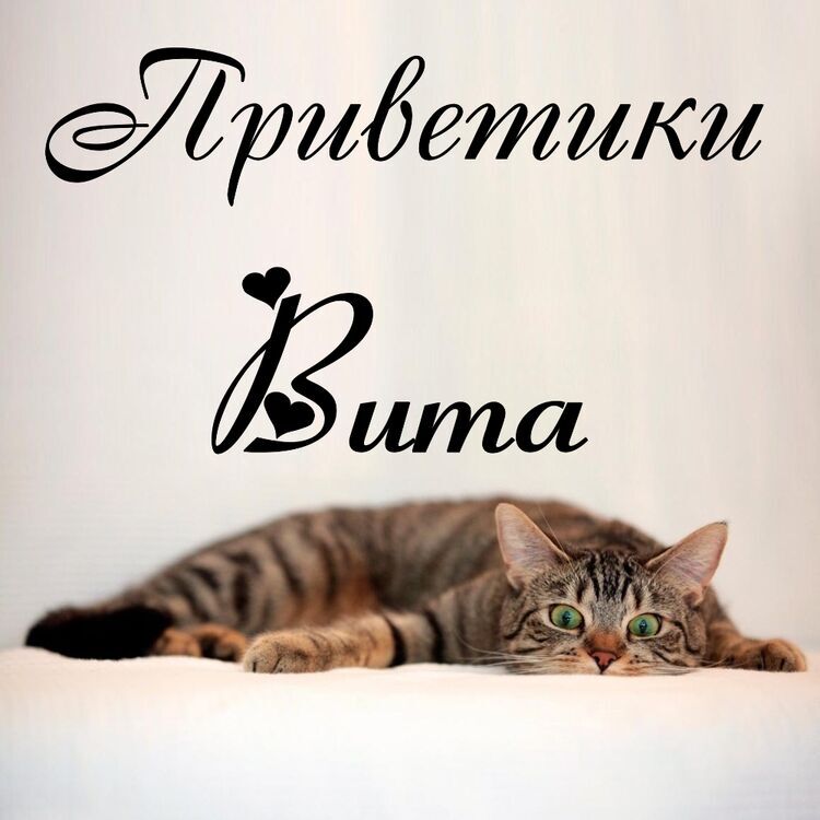С приветом виктория