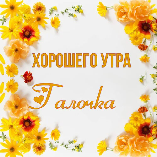 Открытка Галочка Хорошего утра