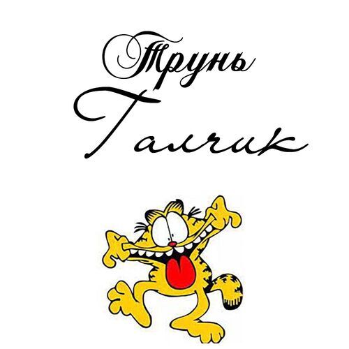 Открытка Галчик Трунь