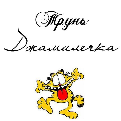 Открытка Джамилечка Трунь