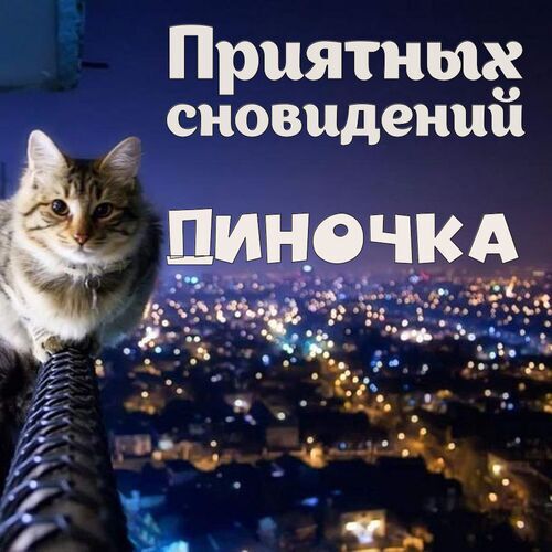 Открытка Диночка Приятных сновидений