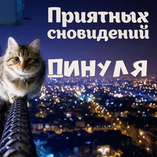 Открытка Динуля Приятных сновидений