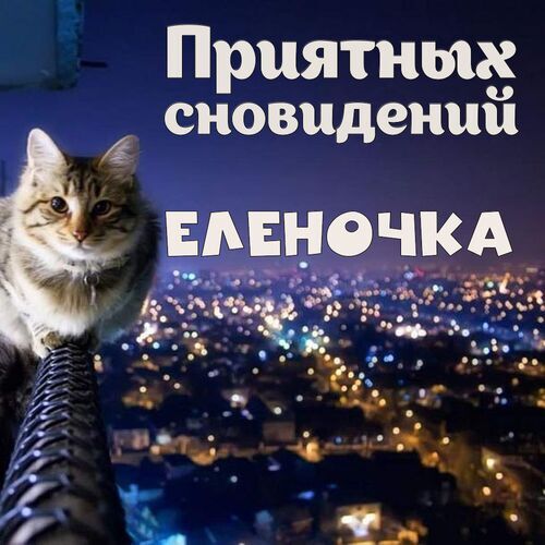 Открытка Еленочка Приятных сновидений