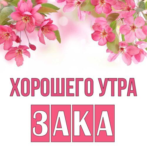 Открытка Зака Хорошего утра