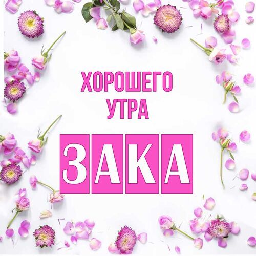 Открытка Зака Хорошего утра