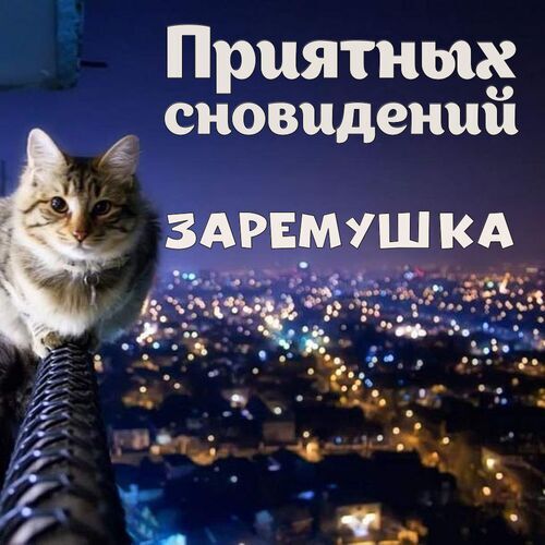 Открытка Заремушка Приятных сновидений