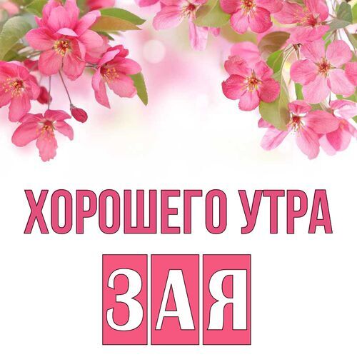 Открытка Зая Хорошего утра