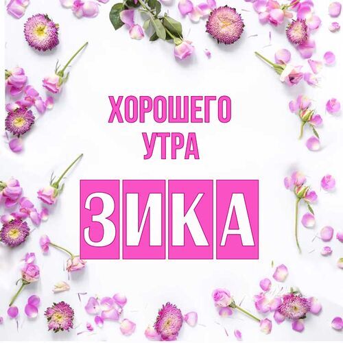 Открытка Зика Хорошего утра