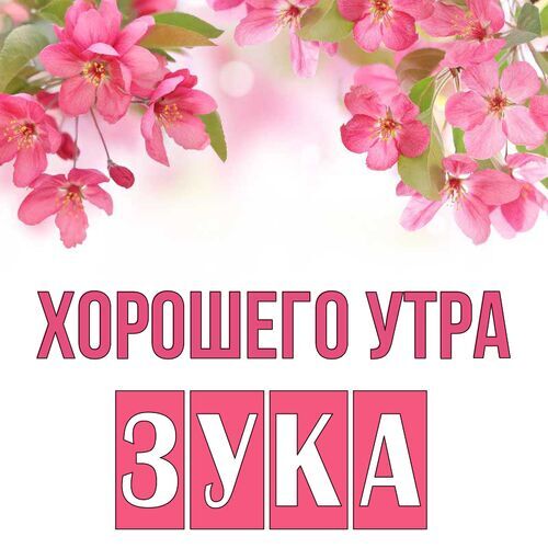 Открытка Зука Хорошего утра