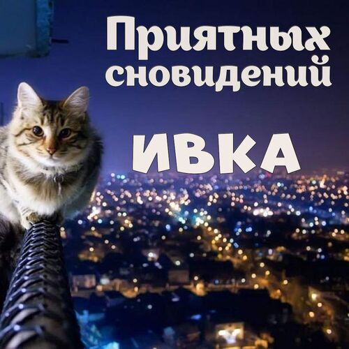 Открытка Ивка Приятных сновидений