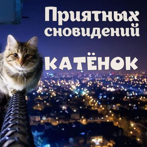 Открытка Катёнок Приятных сновидений