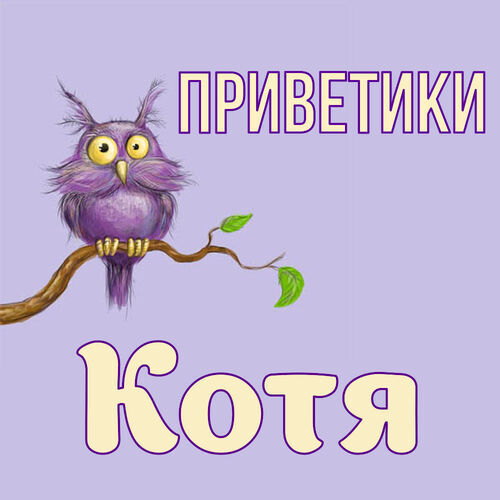 Открытка Котя Приветики