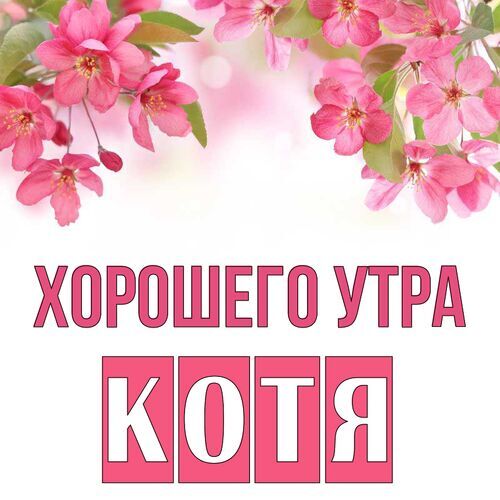 Открытка Котя Хорошего утра