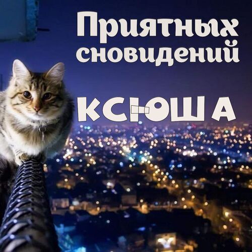 Открытка Ксюша Приятных сновидений