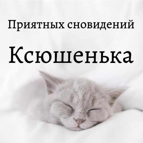 Открытка Ксюшенька Приятных сновидений