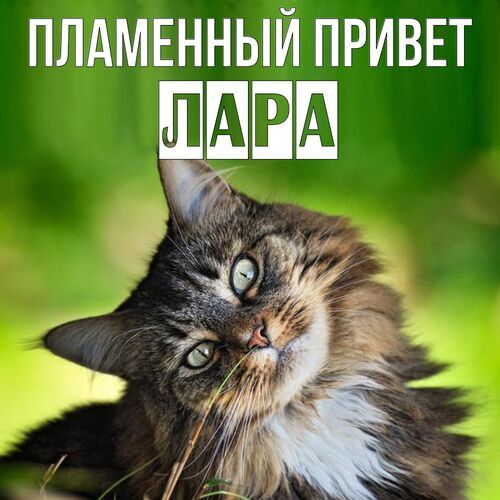 Открытка Лара Пламенный привет