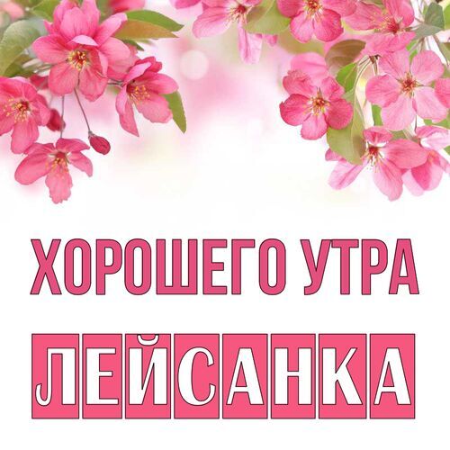 Открытка Лейсанка Хорошего утра