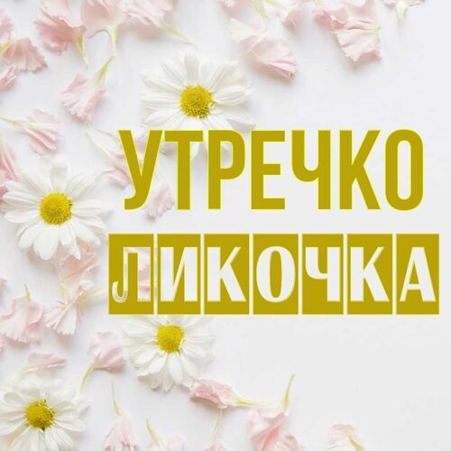 Открытка Ликочка Утречко