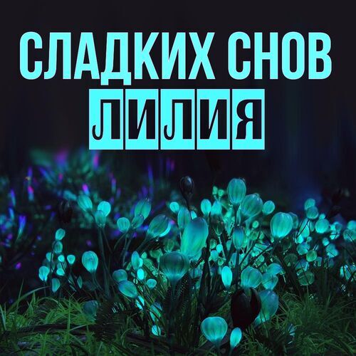 Открытка Лилия Сладких снов